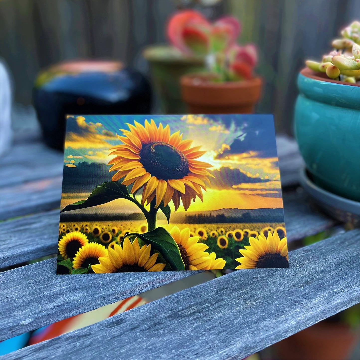 Sunflowers Save Lives